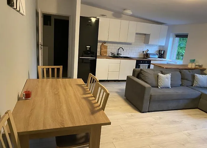 W Malowniczej Sosnowce Appartement Sosnówka